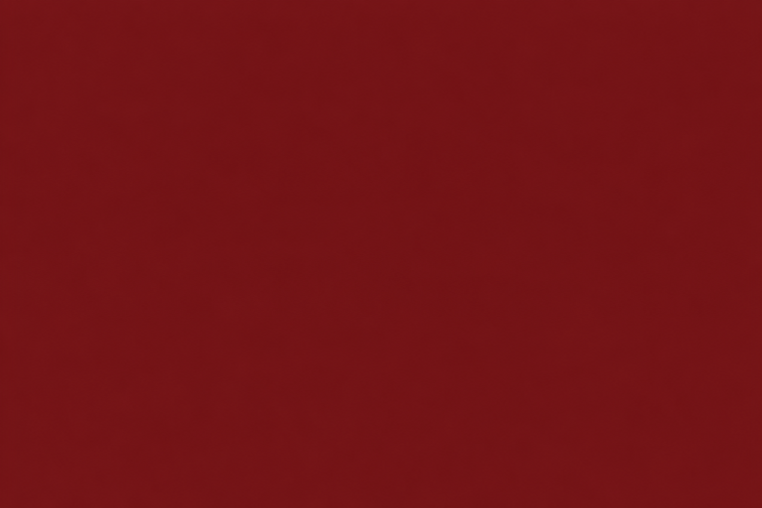 High Performance Dark Cherry Sports Bra