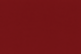 High Performance Dark Cherry Sports Bra