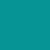 High Performance Teal Women's Active Shorts