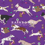 Last Chance - Purple Flyball Women's Activewear Leggings