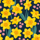 Daffodil Children's Cotton Jersey Leggings