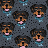 Rottweiler Women's Activewear Leggings